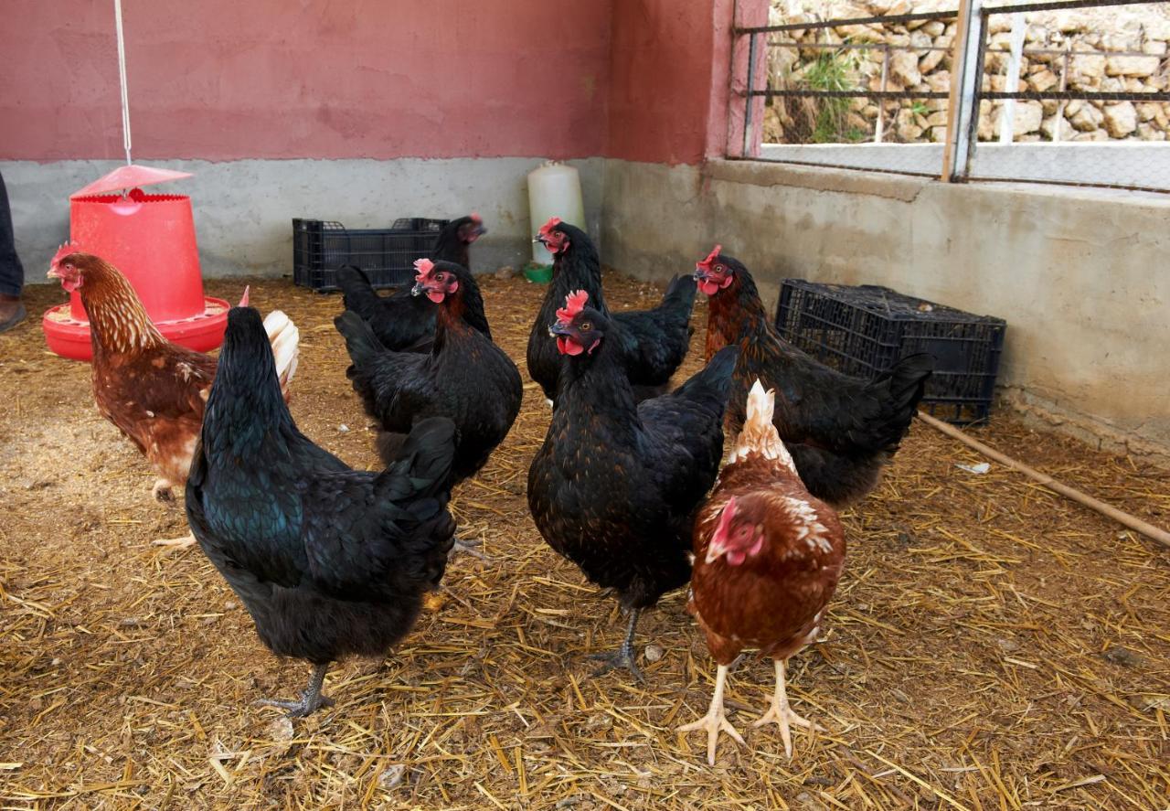 Finca Heredad La Boquilla Enguera Екстериор снимка