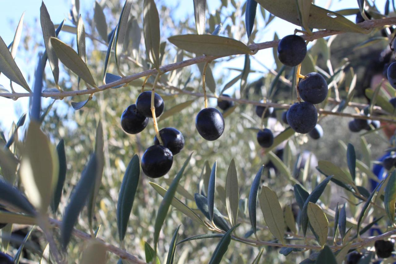Finca Heredad La Boquilla Enguera Екстериор снимка