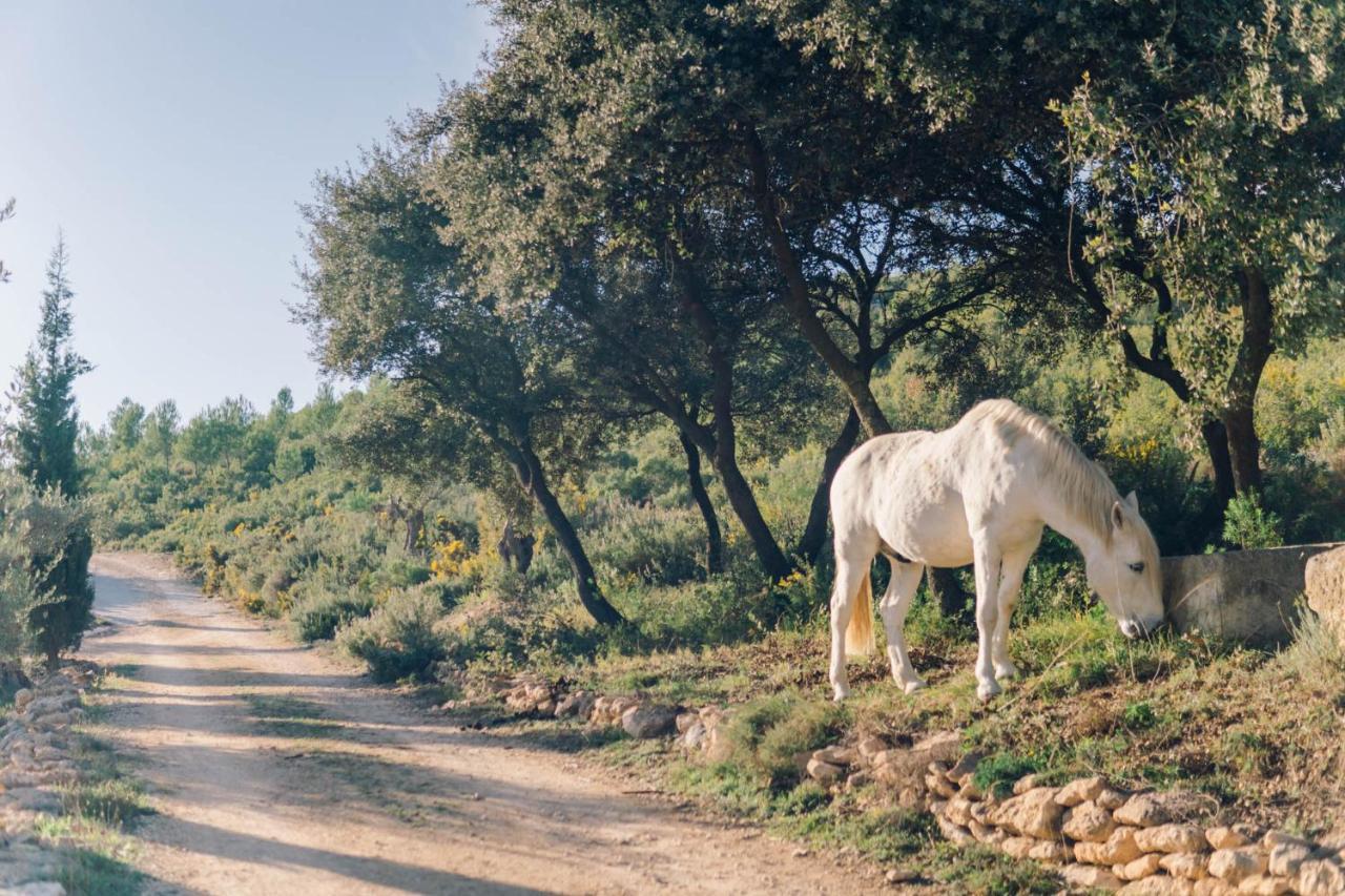 Finca Heredad La Boquilla Enguera Екстериор снимка