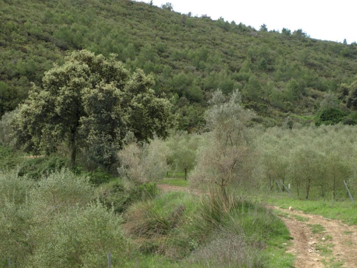 Finca Heredad La Boquilla Enguera Екстериор снимка