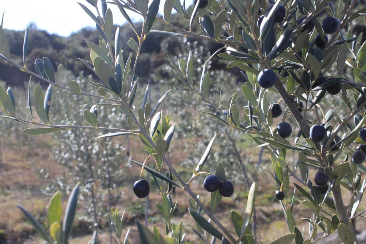 Finca Heredad La Boquilla Enguera Екстериор снимка