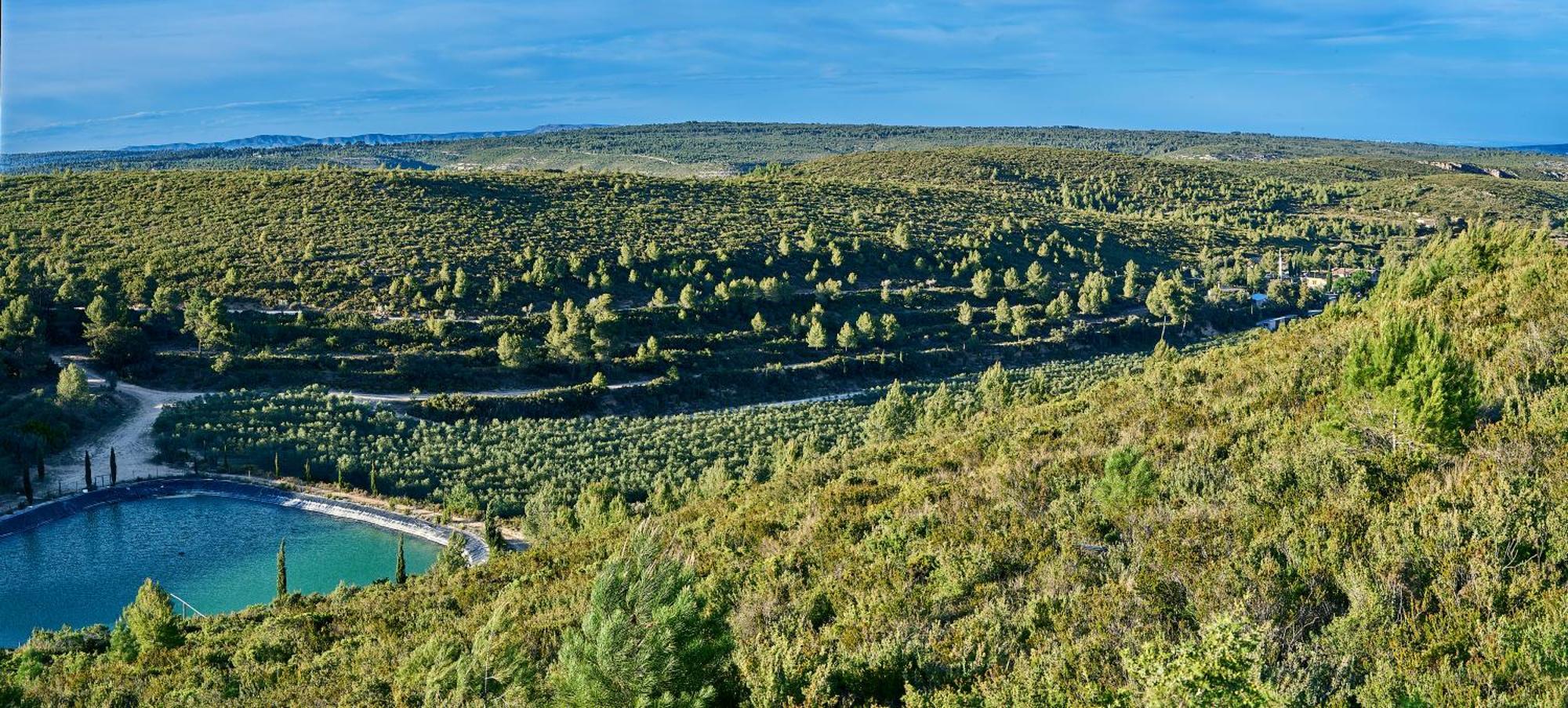 Finca Heredad La Boquilla Enguera Екстериор снимка