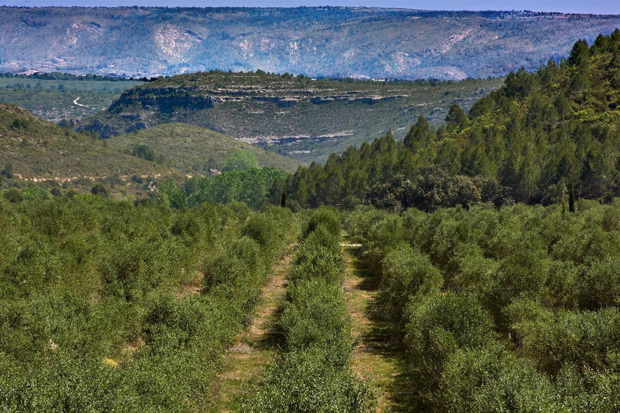 Finca Heredad La Boquilla Enguera Екстериор снимка